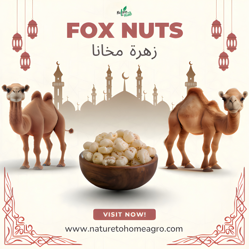 Makhana Exporters in India