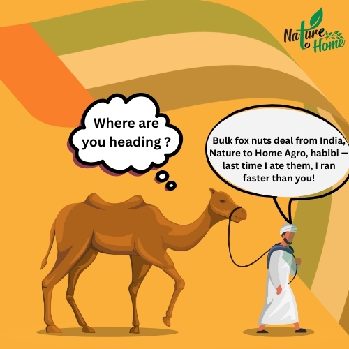 Fox Nuts Dubai Export