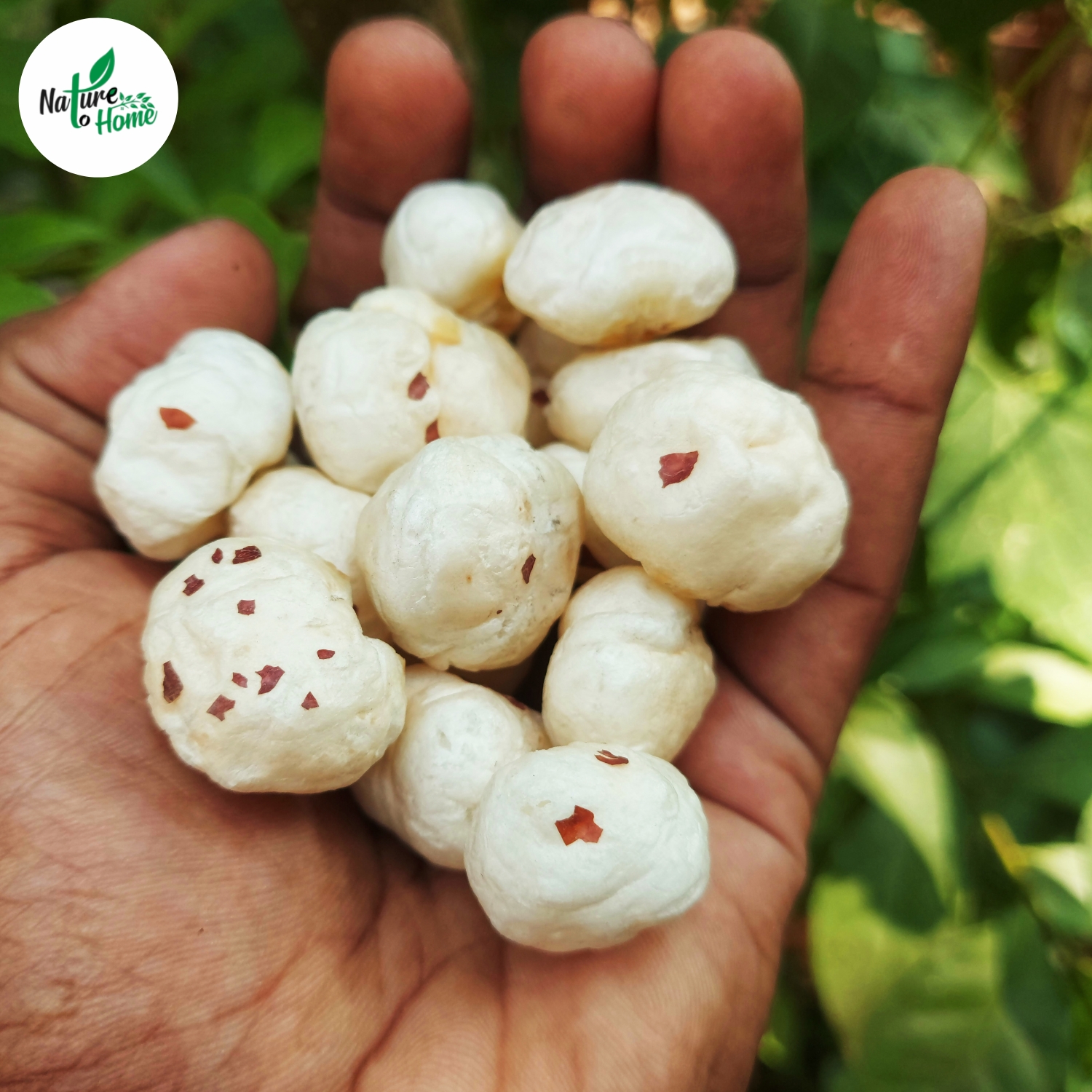 What Actually Makes Makhana Premium