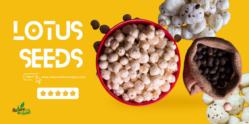 Lotus Seeds