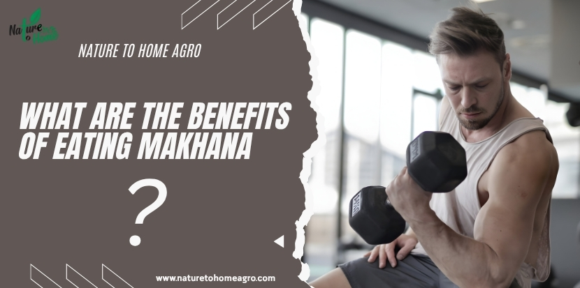 What are the benefits of eating makhana?