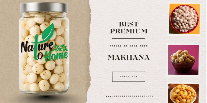 Premium Makhana Guide Benefits and Global Quality