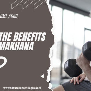 What are the benefits of eating makhana?