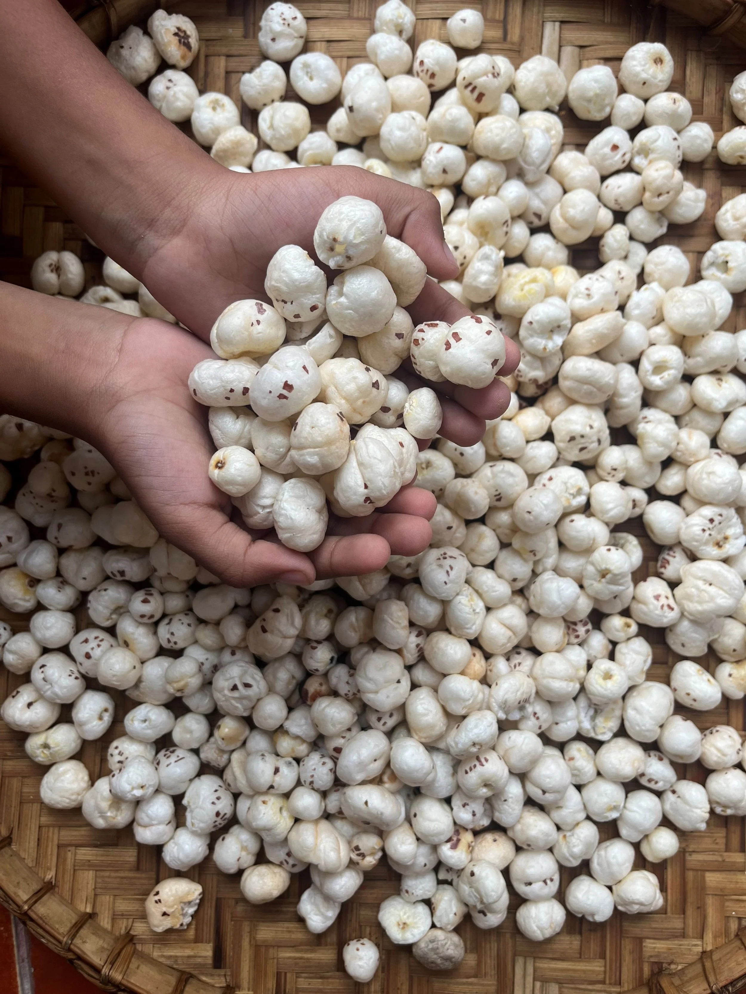 Raw Maize